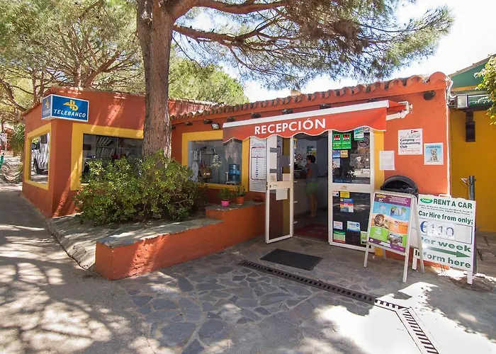 Complejo Turistico & Cabopino 4* マルベーリャ