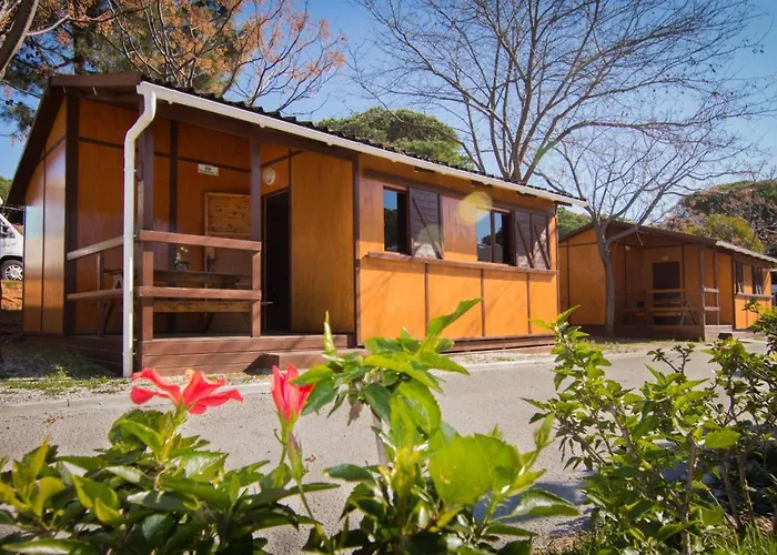 Complejo Turistico & Cabopino 4* Marbella